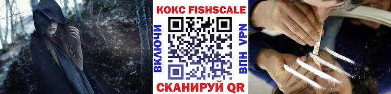 Купить где  Котельнич  COCAIN 98% 