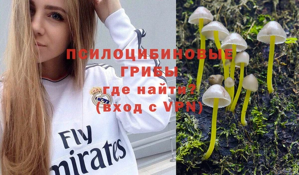 мдма Козельск